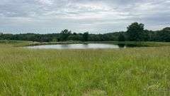 Williamson County IL 40+- Acres / 3007A