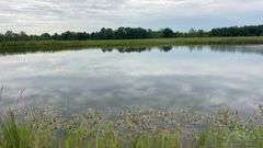 Williamson County IL 40+- Acres / 3007A