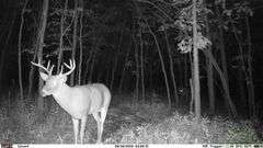 Jackson County IL 315+- Acres / 5 Tracts / 3001A