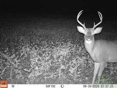 Jackson County IL 315+- Acres / 5 Tracts / 3001A
