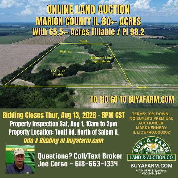 Marion County IL 80+- Acres / Income / Tillable / Cropland / 3058A