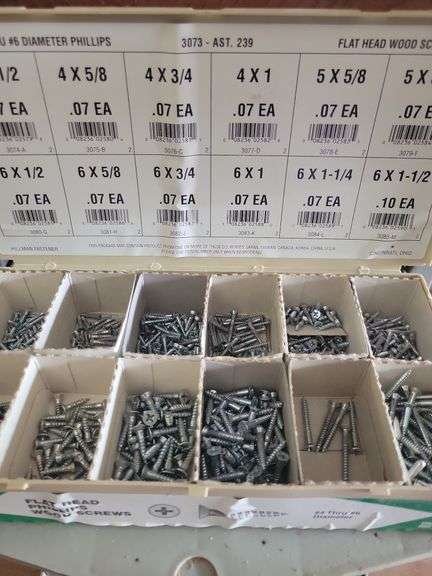 Flat Head Screw Organizer