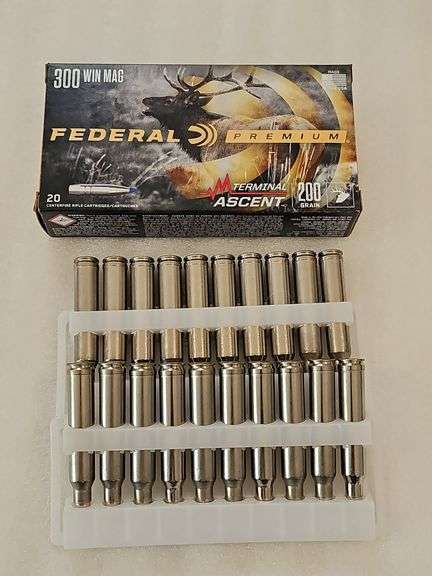 Federal 300 Win Mag 200 Gr. 20 ct Box