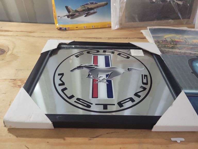 Plane And Mustang Pictures