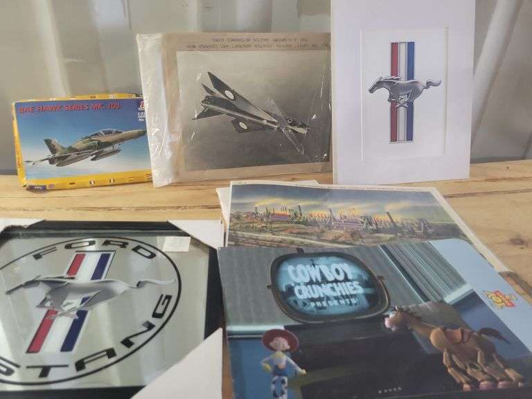 Plane And Mustang Pictures