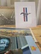Plane And Mustang Pictures
