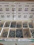 Flat Head Screw Organizer