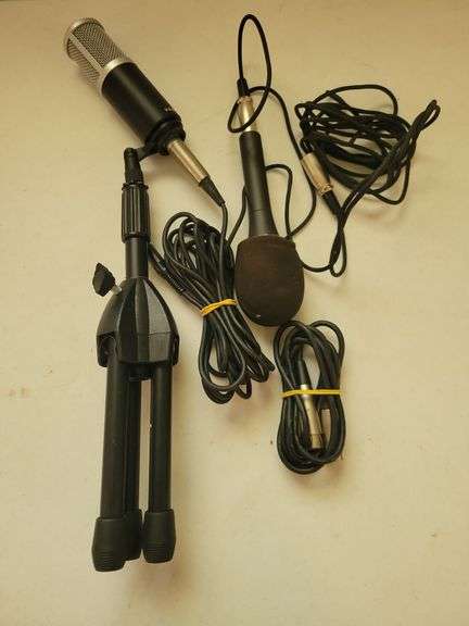 2 Mic's, Cords, and Stand