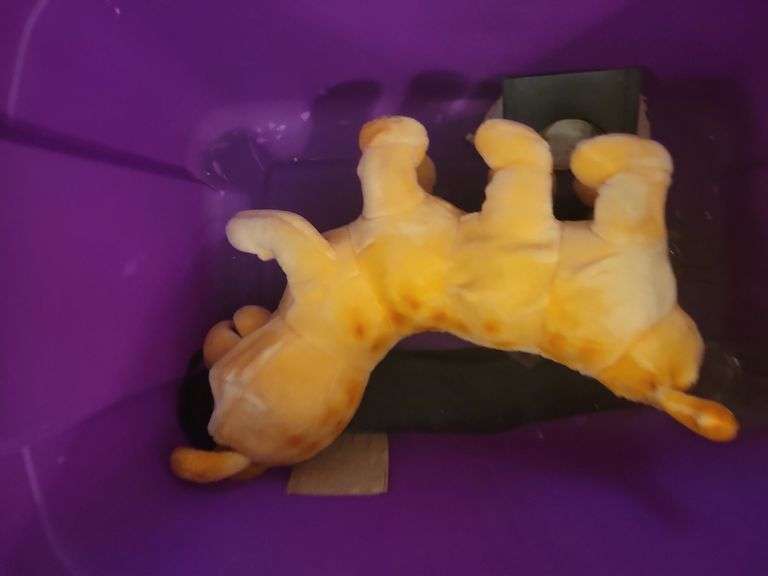 Toy Box And Toys