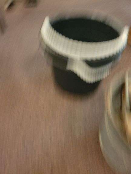 2 Plastic and Mop Bucket