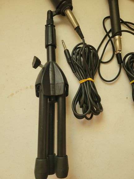 2 Mic's, Cords, and Stand