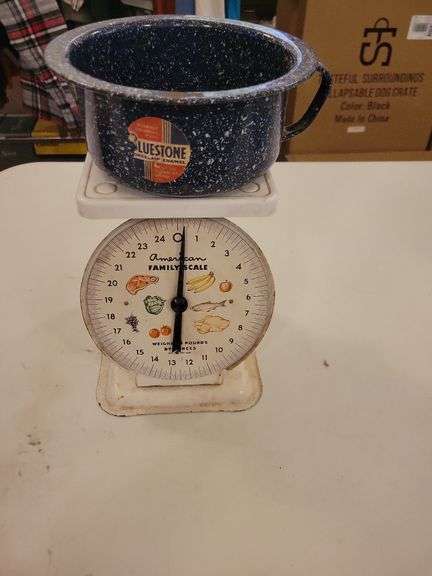 Family Scale and Bluestone Catcher