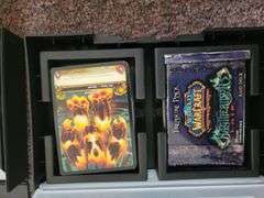 World of War Craft Card Games Megtheridon's Lair Raid Deck and Black Temple Raid Deck