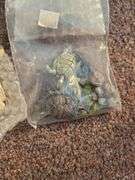 2 Containers Figures