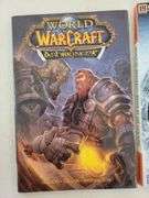7- World of War Craft Bradygames and books