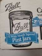 12 Ball Wide Mouth Pints w/ Lids and Rings