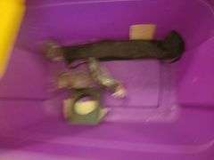 Toy Box And Toys
