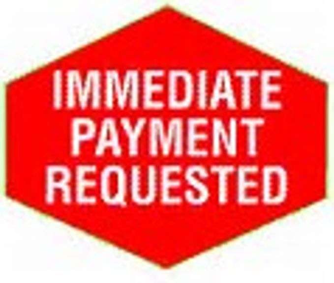 Immediate payment - within 24 hours of end of auction if your credit card is declined.  No exceptions