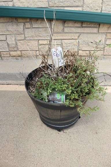 Times 4 - plastic flower pots