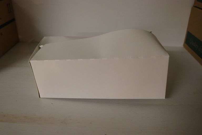 3" deep x 5" wide x 9" long white folding boxes