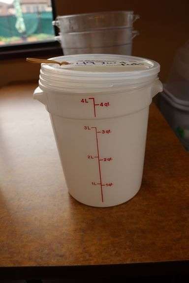 4 qt food storage container with lid