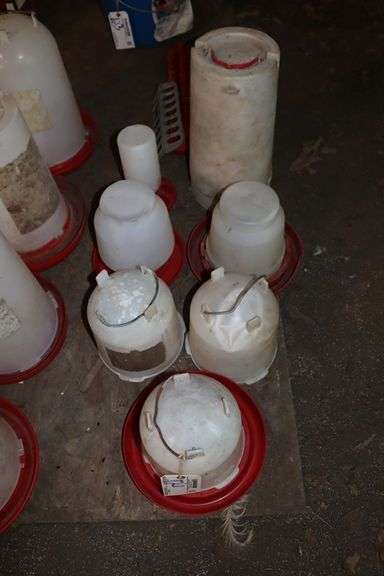All to go - Assorted sized chicken feeders