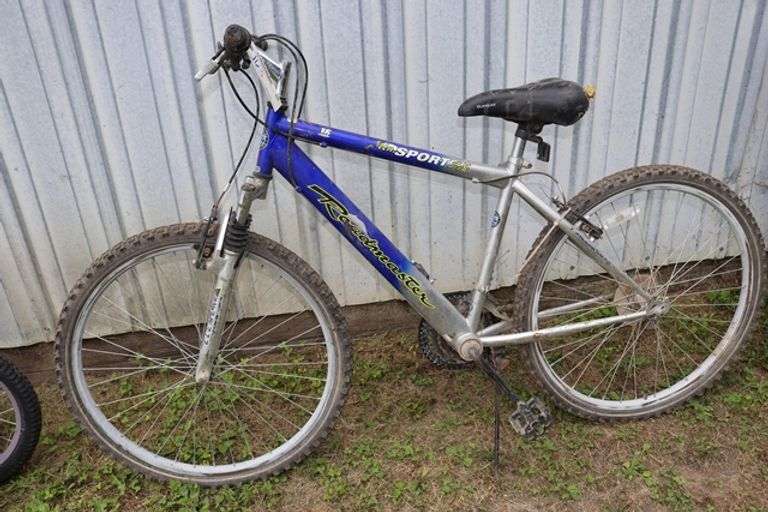 Roadmaster sport mountain bike