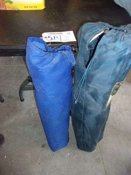 2 bag chairs