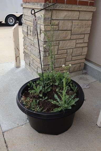 Times 2 - 26" plastic flower pots