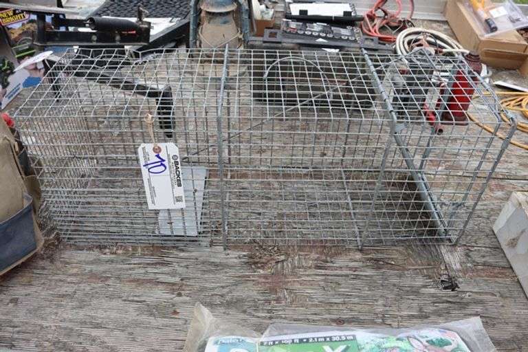 Have-A-Heart live animal trap