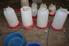 All to go - 4 chicken feeders