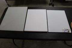 Times 4 - 3) 15" x 20" and 1) 18" x 24" poly cutting boards