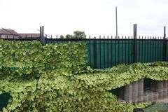 All to go - approximately 120' light aluminum black fencing only