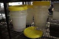 Times 10 - Rubbermaid containers with lids