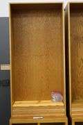Times 2 - 32" x 96" x 17" deep wood book cases - no shelf pins
