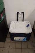 Coleman 50 qt cooler