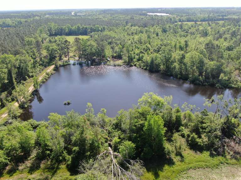 Bass Estate +/- 44 Acres, Hwy 441 & Hwy 319, Coffee County