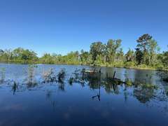 Bass Estate +/- 44 Acres, Hwy 441 & Hwy 319, Coffee County