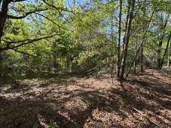 Bass Estate +/- 44 Acres, Hwy 441 & Hwy 319, Coffee County