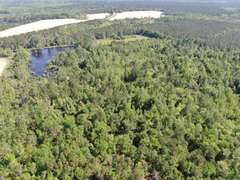 Bass Estate +/- 44 Acres, Hwy 441 & Hwy 319, Coffee County