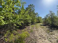 Bass Estate +/- 44 Acres, Hwy 441 & Hwy 319, Coffee County