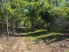 Bass Estate +/- 44 Acres, Hwy 441 & Hwy 319, Coffee County