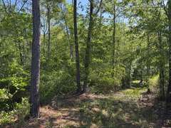 Bass Estate +/- 44 Acres, Hwy 441 & Hwy 319, Coffee County