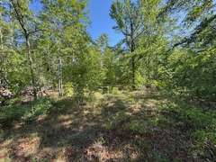 Bass Estate +/- 44 Acres, Hwy 441 & Hwy 319, Coffee County