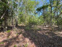 Bass Estate +/- 44 Acres, Hwy 441 & Hwy 319, Coffee County