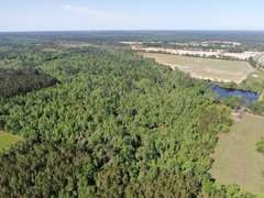 Bass Estate +/- 44 Acres, Hwy 441 & Hwy 319, Coffee County