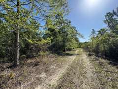 Bass Estate +/- 44 Acres, Hwy 441 & Hwy 319, Coffee County