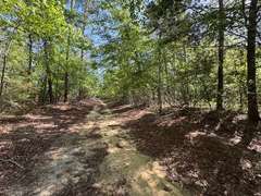 Bass Estate +/- 44 Acres, Hwy 441 & Hwy 319, Coffee County