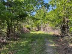 Bass Estate +/- 44 Acres, Hwy 441 & Hwy 319, Coffee County