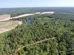 Bass Estate +/- 44 Acres, Hwy 441 & Hwy 319, Coffee County
